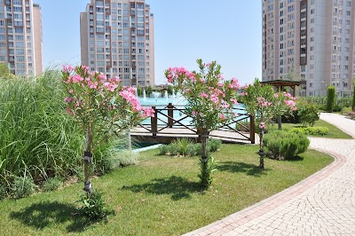 Photos of Our Homes 3