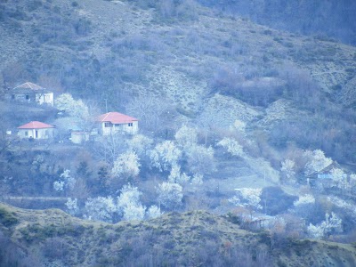 Shëngjin i Vogël