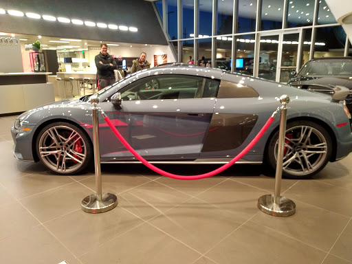 Audi Bend - Visual