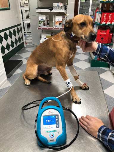 Clínica Veterinaria Zamfer