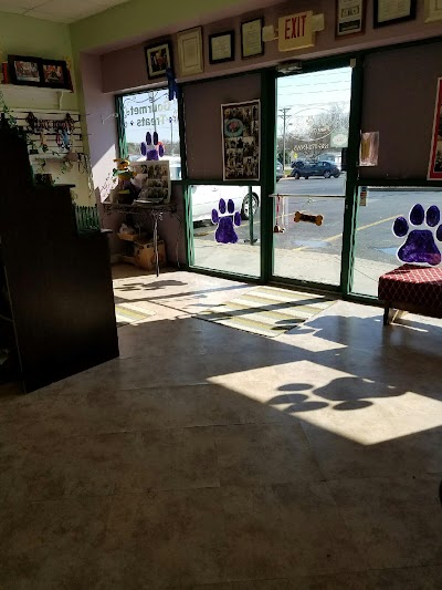 Paws & Relax Pet Spa