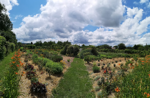 Le Jardin Potager du Château de Sully - Thumbnail