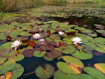 Carnahan County Park