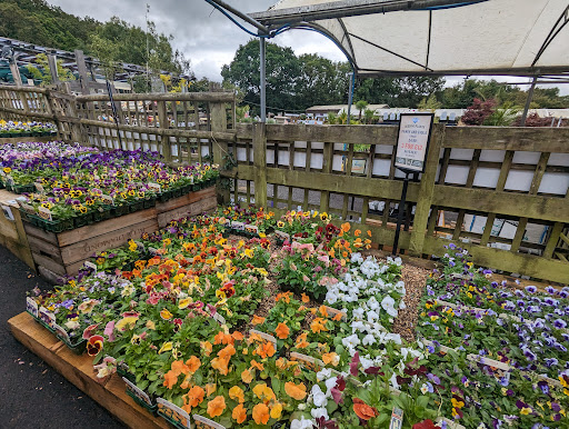 Newton Pet & Aquatics Ltd (At Fermoys) - Thumbnail