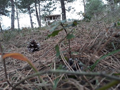 lodging