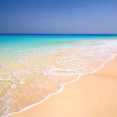 Photos of La Femme Beach