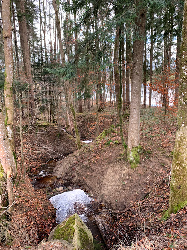 Holzweiher - Visual