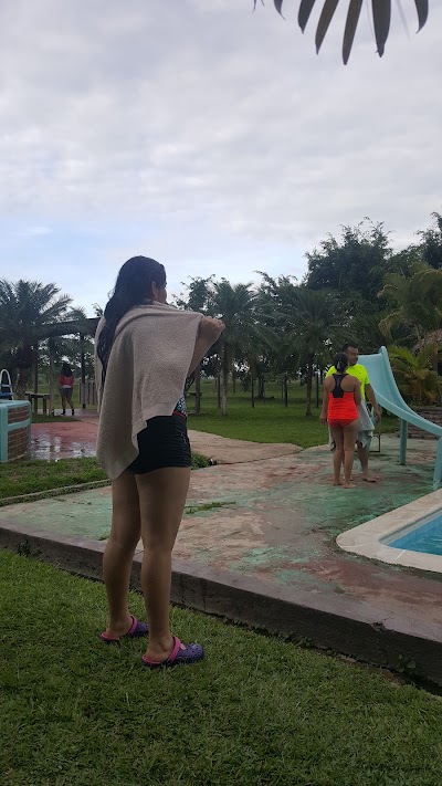 Photos of Tilapias