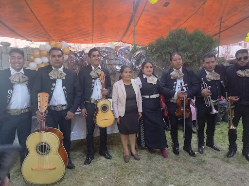 Servicio de Mariachi profesional Lerma Ocoyoacac los encinos san mateo atenco metepec toluca zinacantepec alrededores