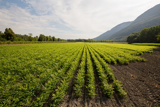 Photo de Jardin des Alpes à Vinay (38470)