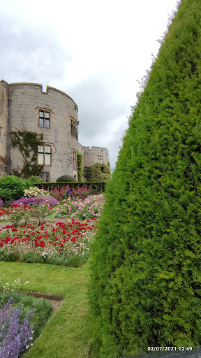 Office Castle - Visual