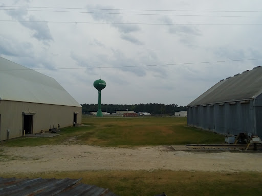 Ameri Peanut Growers Cold Str - Visual