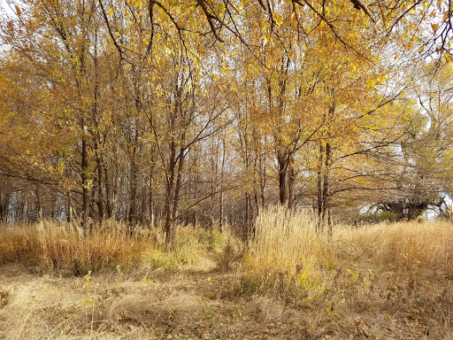 Duck Creek State Wildlife Area - Thumbnail