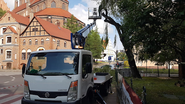 Wycinka drzew oraz pielęgnacja terenów zieleni - AKARD - Szczecin