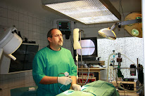 Clinique vétérinaire d' Outre Foret à Rittershoffen