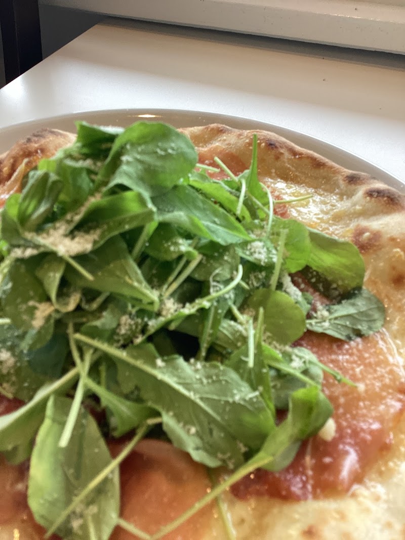 MONTECORVO モンテコルヴォ