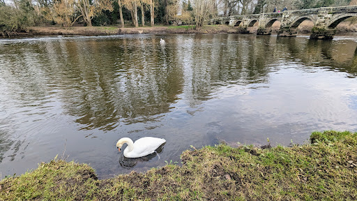 Shugborough Estate Car Park - Thumbnail