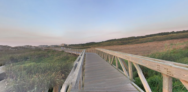 https://natural.pt/protected-areas/paisagem-protegida-regional-litoral-vila-conde-reserva-ornitologica-mindelo?locale=pt