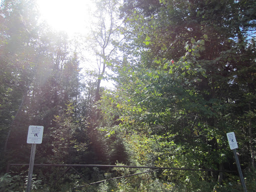 Moosehorn National Wildlife Refuge - Ox Cove - Thumbnail