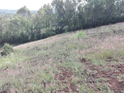 Photos of Kibiko primary school