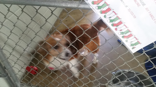 Huron County Humane Society - Thumbnail