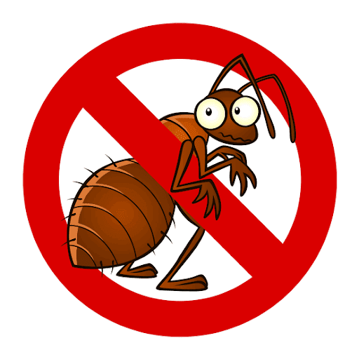 Quality Pest Control And Pressure Washing - Thumbnail