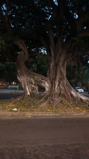 Eco Parque Garden - Thumbnail
