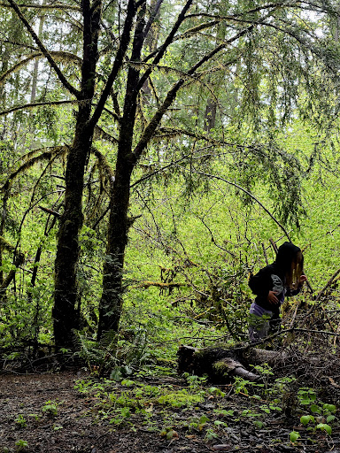 Secret Creek Campground - Thumbnail