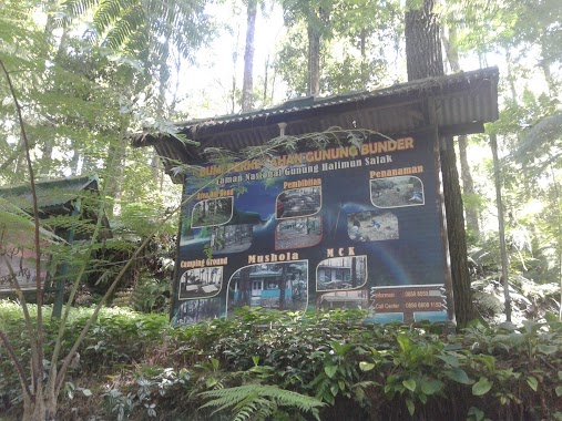 Camping Ground Gunung Bunder Halimun Salak, Author: Firdaus Farisqi