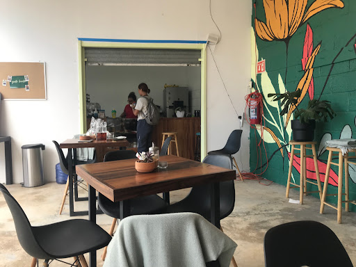 Amapola Coffee and Plants - Thumbnail