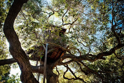 The Peninsula School