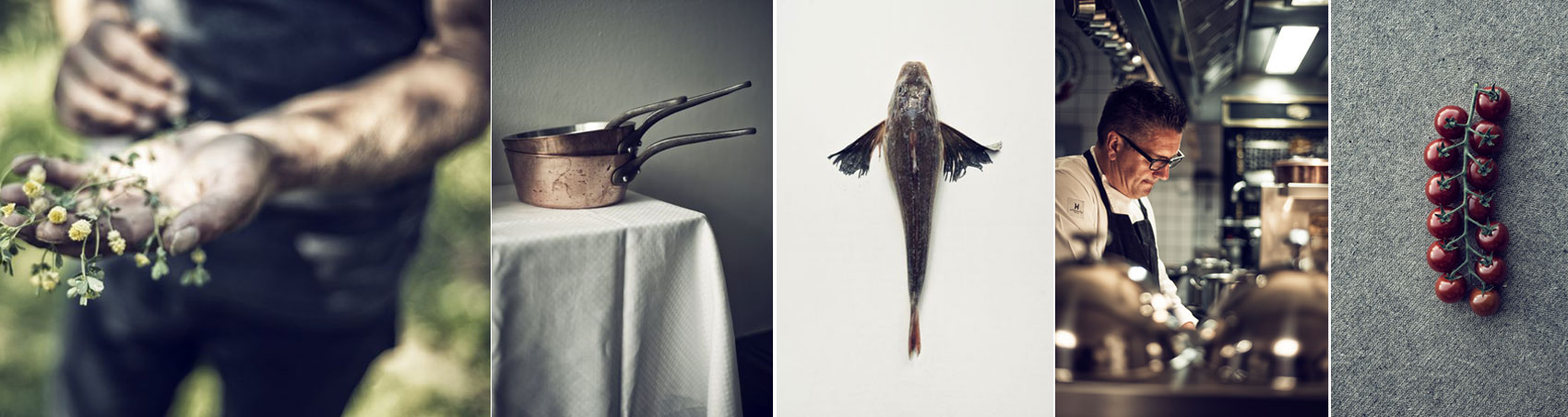 Restaurant Tout à Fait by null