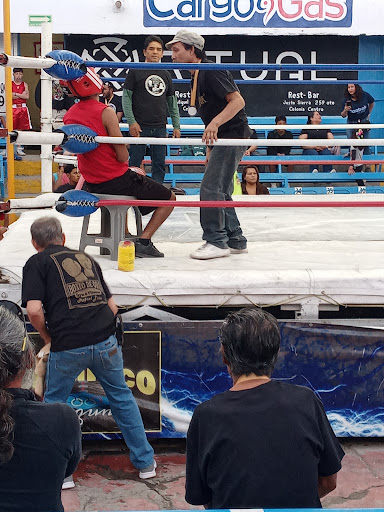 Boxeo de Oro - Visual