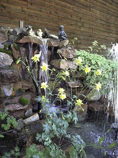 Photos of Frisco Lodge