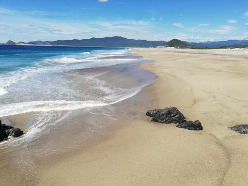 Playa Brasil - Thumbnail