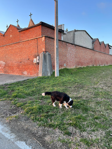 Cimitero di Frazione Casabianca - Thumbnail