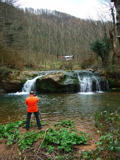 Goldern of WATERFALL