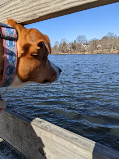 Sewells Orchard Park Boardwalk - Thumbnail