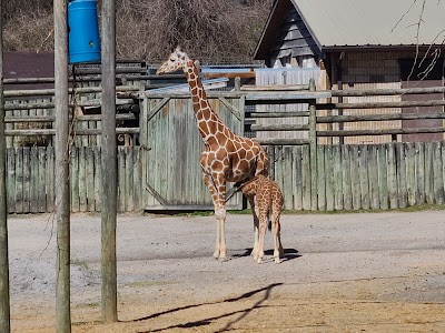 Zoo Knoxville