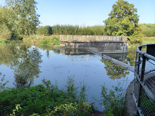 Byron's Pool LNR