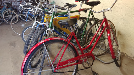Discount Bicycle Warehouse - Thumbnail