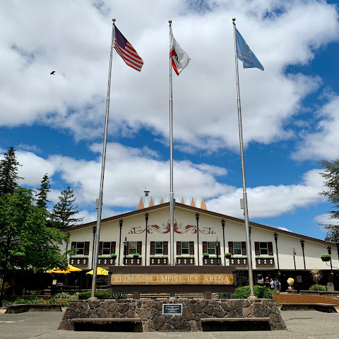 Snoopy's Home Ice by null