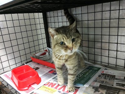 Photos of Cherrywood Vet Clinic