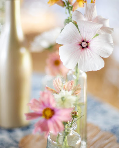 Les Fleurs d'Eva - Thumbnail