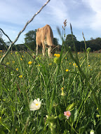 La ferme de Vignolles à Neuvillalais