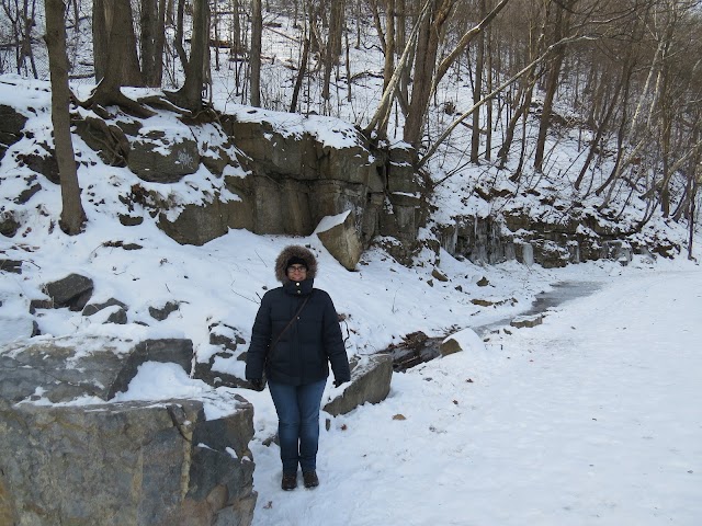 Grand Escalier du Mont Royal