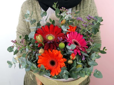 Photos of Flowers Across Melbourne