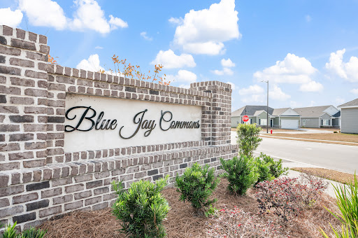 Blue Jay Commons - Visual