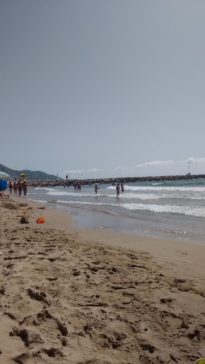 Photos of transportbcn transporte motos arte mudanzas sitges barcelona girona tarragona