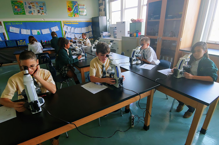 St. Paul's Catholic School - Riverside